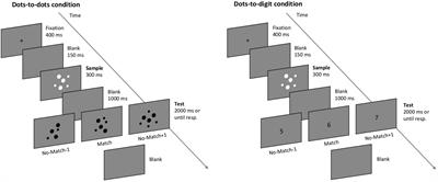 Electrophysiological Signatures of Numerosity Encoding in a Delayed Match-to-Sample Task